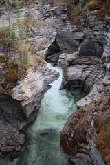 Obraz premium The Canyon, Jasper National Park, Alberta