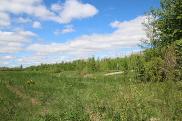 Fototapeta na wymiar Spring On The Land, Pylypow Wetlands, Edmonton, Alberta