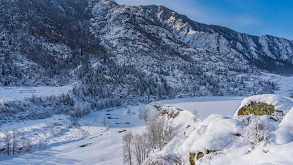 A coniferous forest grows on the snow-covered slopes of the mountain. A frozen river winds through the valley. Picturesque boulders under clear snow in the foreground. Blue sky. Altai