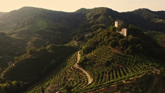 Aerial view of the Prosecco steep hills in Valdobbiadene, Italian wine region with drone. Small church in the vines.