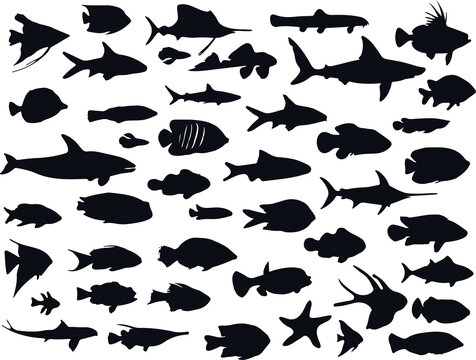 Collection of isolated fish silhouettes 