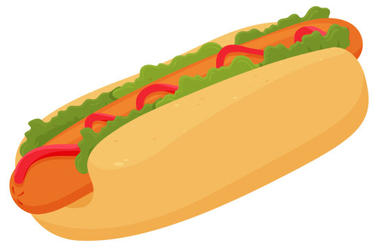Hotdog in cartoon style isolated