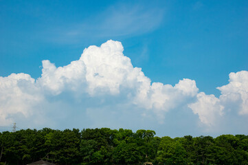 初夏の雲