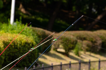 釣り竿2
