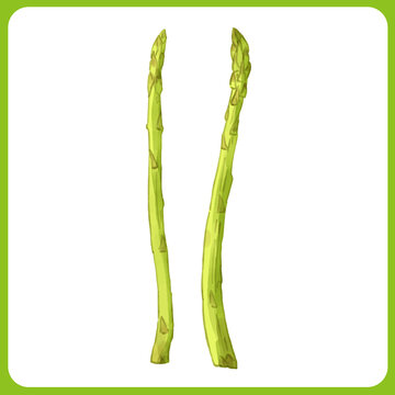 アスパラガス Images Browse 6 807 Stock Photos Vectors And Video Adobe Stock