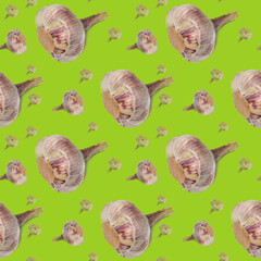 Ripe young garlic on a green background. Continuous pattern of garlic bulb