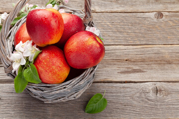 Fototapeta na wymiar Ripe red apples and apple blossom flowers in basket