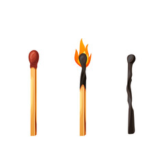 Burnt match stick with fire. Whole, ignite wooden matchstick. Cartoon safety isolated on white background. Vector set