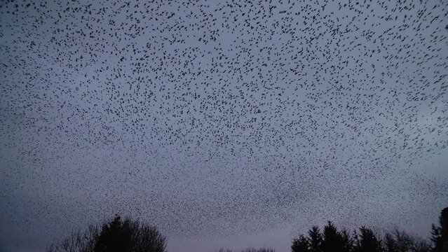 Spectical Images – Browse 32 Stock Photos, Vectors, and Video | Adobe Stock