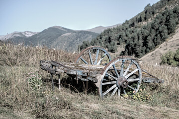 Fototapeta premium old wooden cart in a meadow