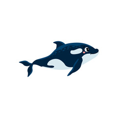 Whale killer or orca marine mammal, flat cartoon vector illustration isolated.
