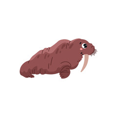 Walrus large marine mammal character, flat cartoon vector illustration isolated.