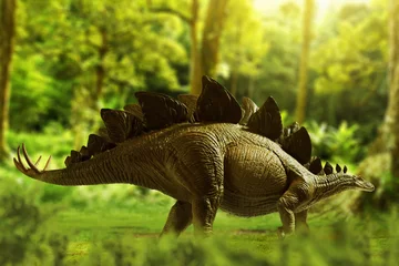 Fotobehang Dinosaur, Stegosaurus in the jungle © fotokitas