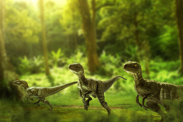 Dinosaurs, velociraptors in the jungle