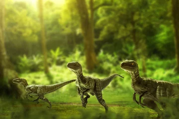 Crédence de cuisine en verre imprimé Dinosaures Dinosaurs, velociraptors in the jungle