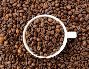 Roasted coffee beans in a white cup, top view