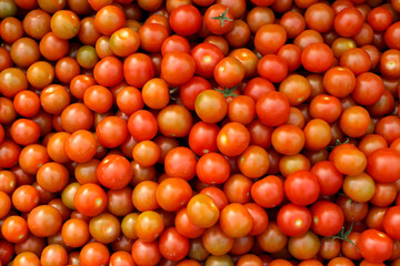 Tomates Cherry sueltos recién recolectados