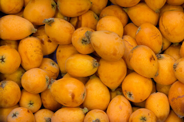 Nísperos recién recolectados en el campo