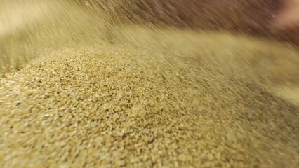 small grains of sand fall from above. close up shot of falling sand particles.slow motion.4K. GOLDEN SAND. soft light. sand flying