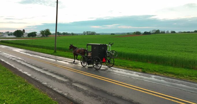 Low aerial tracking shot of Amish horse and buggy. American rural agriculture on wet, spring day.