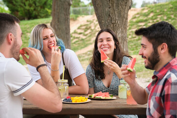 Group of happy friends having fun, drinking and eating watermelon in a park. Picnic on a sunny summer day.