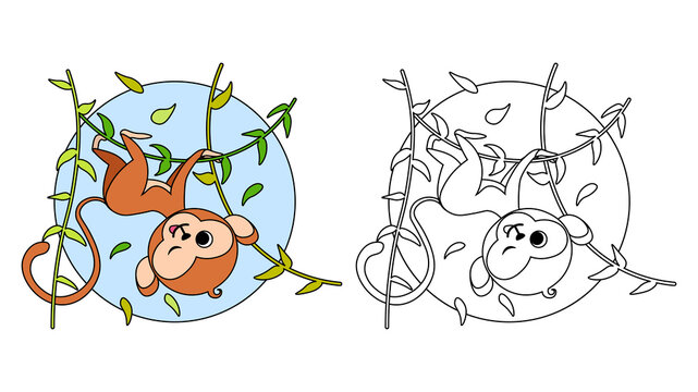 Vector illustration of children's coloring book or page on white background. Funny monkey characters climb a liana for a design poster, print, greeting card, label, sticker in a cartoon.