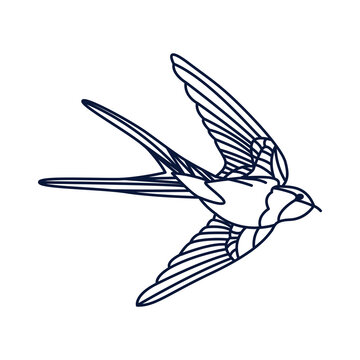 Swallow bird line drawing isolated on white.