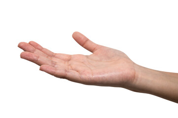 Woman hand reach and ready to help or receive. Gesture isolated on white background.