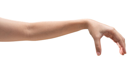 isolated of woman hand holding something like a bottle or can.