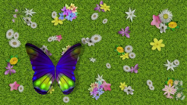 Filmato. Illustrazione 3D. Primavera, estate. Fiori e farfalle su prato verde texture. Sfondo campo di erba con fiori colorati e farfalle..