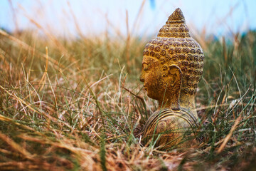 Buddha statue at sunset.