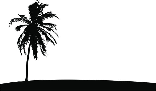 Palm tree on beach silhouette vector, isolated on white background, summer vacation concept, fill with black color, palm tree icon, symbol idea, front view