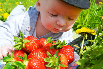 Adorable baby reaches for strawberries on the grass