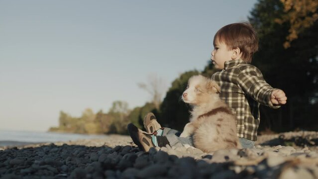 The child sits on the shore of the lake, throws pebbles into the water. Next to him is a small puppy.