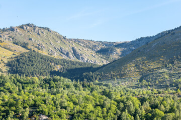 Fototapeta premium landscape with mountains