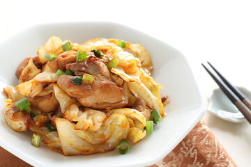 Chinese food, cabbage and chicken stir fried with spicy sauce