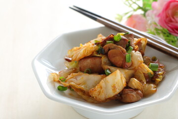 Chinese food, cabbage and chicken stir fried with spicy sauce