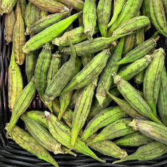 okra gombo raw vrac fruit healthy meal food diet snack on the table copy space food background rustic top view veggie vegan or vegetarian food