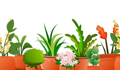 Indoor plants and flowers. Seamless horizontal composition. In ceramic pots. Homemade beautiful herbs. Isolated on white background. Cartoon fun style. Vector