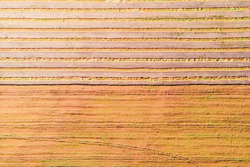 Aerial drone image of fields with diverse crop growth based on principle of polyculture and...