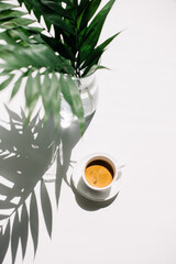 Delicious fresh espresso coffee with a beautiful thick crema in a white cup with a saucer, standing on the white table, decorated with palm leaves, top view 