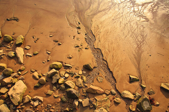 Tidal flats