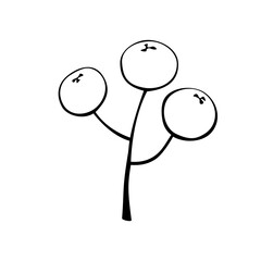 Vector abstract outline twig with berries in doodle style. Botanical clipart, element for the design of postcards, invitations, creating logos or banners