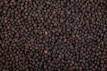Black chickpeas, close-up. Design element, food background. Black chickpeas contain plenty of...
