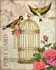 Vintage Postcard with roses,bird and bird cage.