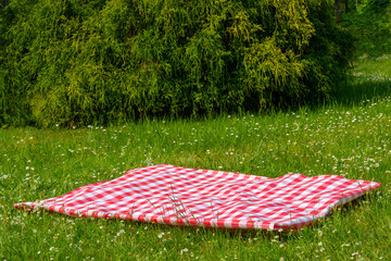 Red picnic blanket. Red checkered picnic cloth on a flowering meadow with daisy flowers. Beautiful...
