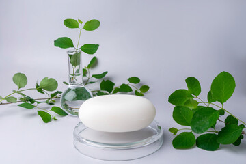 Natural soap with grean leaves and test yube. Dermatologic tested