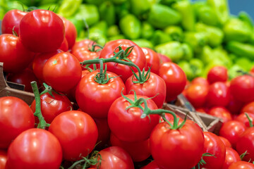 Close-up shot of fresh ripe tomatoes and sweet peppers in modern supermarket, copy space