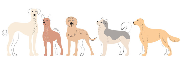 dogs of different breeds doodle sketch, outline, isolated