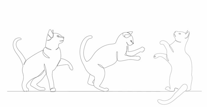 cats are playing one continuous line drawing, sketch, isolated, vector